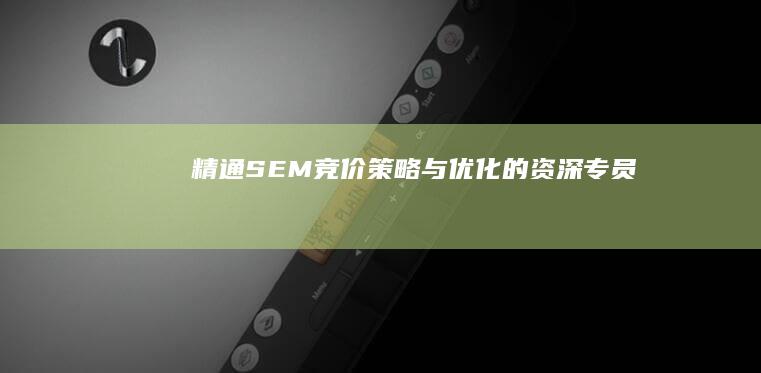 精通SEM竞价策略与优化的资深专员